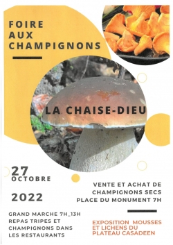 Foire aux Champignons - LA CHAISE DIEU (43)