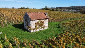 CHAMPAGNE ALAIN BEDEL - La petite maison