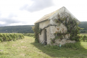 CHAMPAGNE ALAIN BEDEL - La petite maison