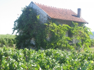 CHAMPAGNE ALAIN BEDEL - La petite maison