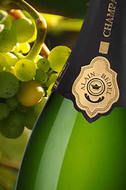 Producteur CHAMPAGNE ALAIN BEDEL - Vente en ligne - TRADITION BRUT DE BRUT